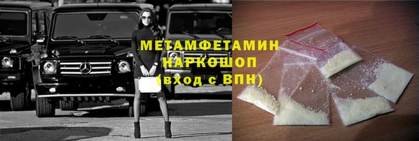 шишки Бородино