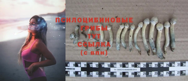 марки nbome Богданович