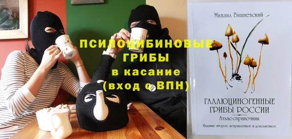 MDMA Богородицк