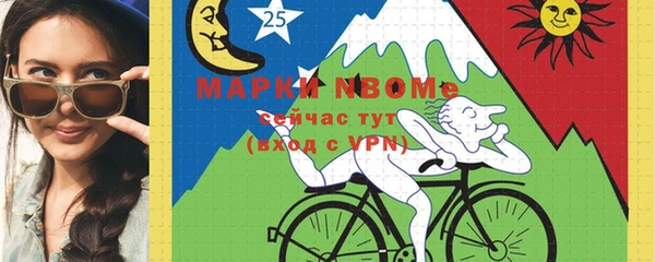 шишки Бородино