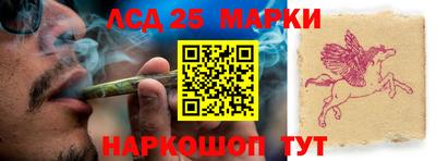 apvp Кингисепп