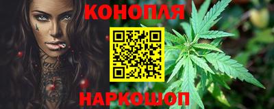 apvp Кингисепп