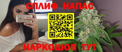 apvp Кингисепп