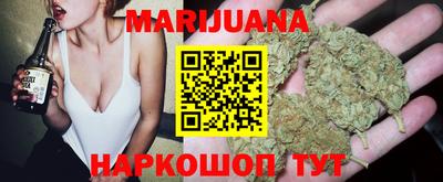 apvp Кингисепп