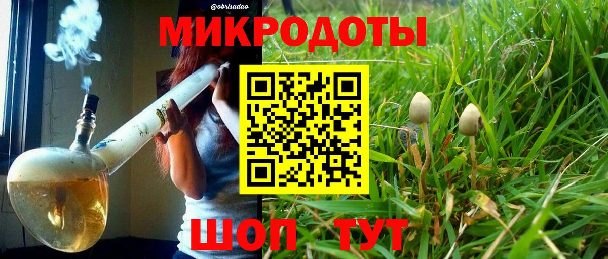 Псилоцибиновые грибы Psilocybe  Вход с VPN  Среднеуральск  Псилоцибиновые грибы прущие грибы 